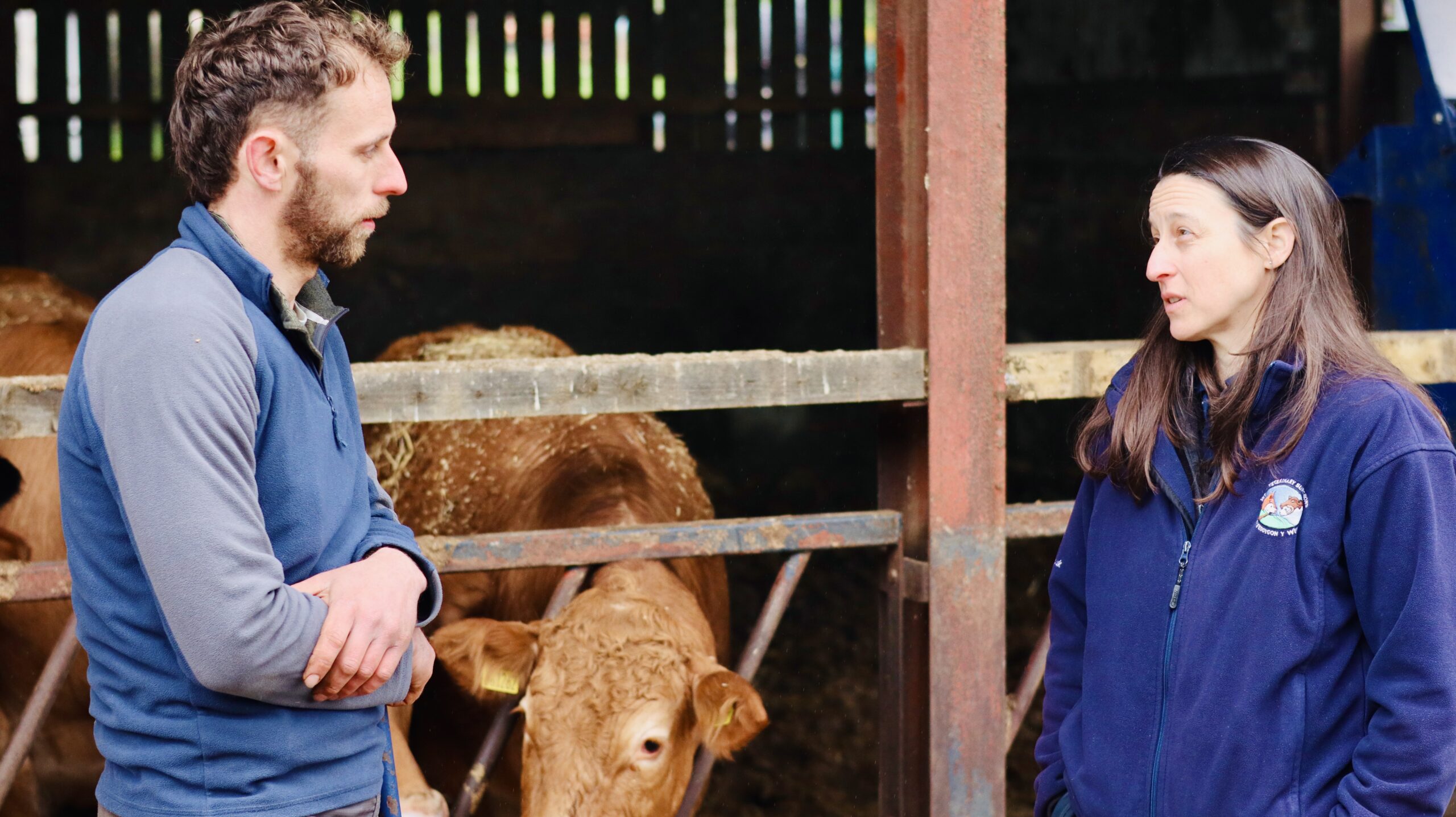 AHIC Training Supports Consistent, Value-Focused Animal Health Planning under the SFS
